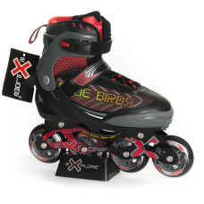 Ролики розсувні BLUE BIRDS M2 Чорні розмір 39-42